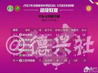 上海绿地申花击败江苏苏宁，稳居积分榜前列的简单介绍