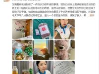 带伤奉献全力，胜负未定气氛紧张的简单介绍